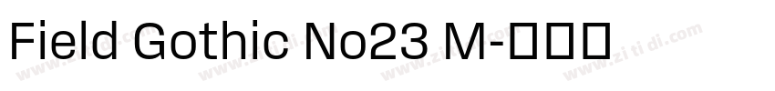 Field Gothic No23 M字体转换